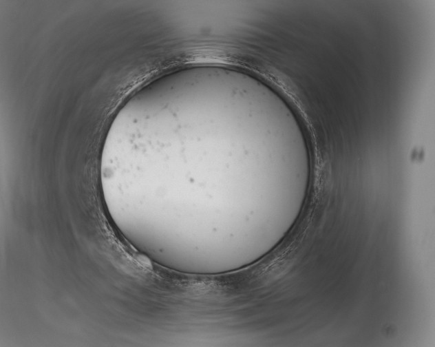 X0000116820385200912181413