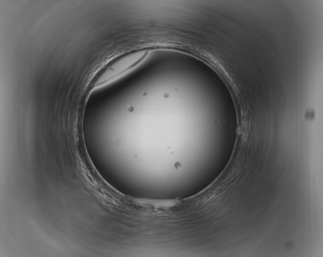 X0000116820386200912181413