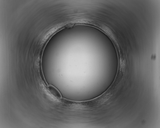 X0000116820389200912181413
