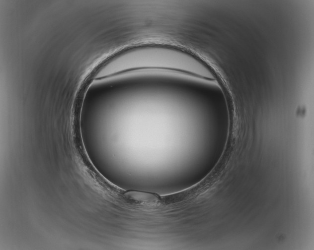X0000116820391200912181413