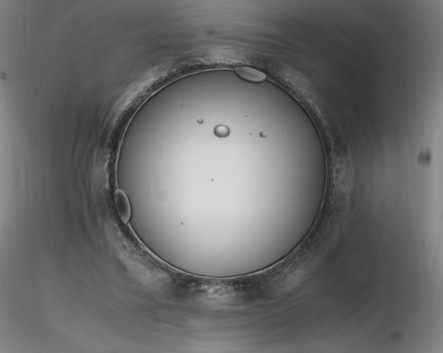 X0000116820395200912181413