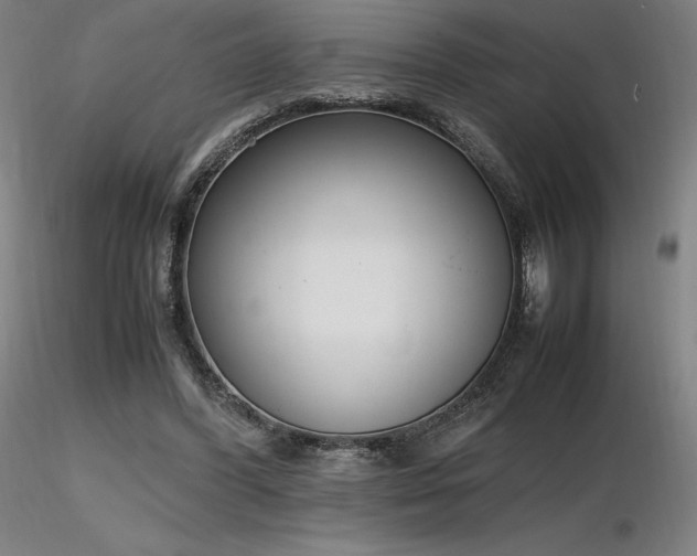 X0000116820396200912181413