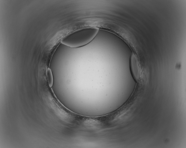 X0000116820397200912181413