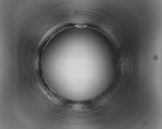 X0000116820400200912181413