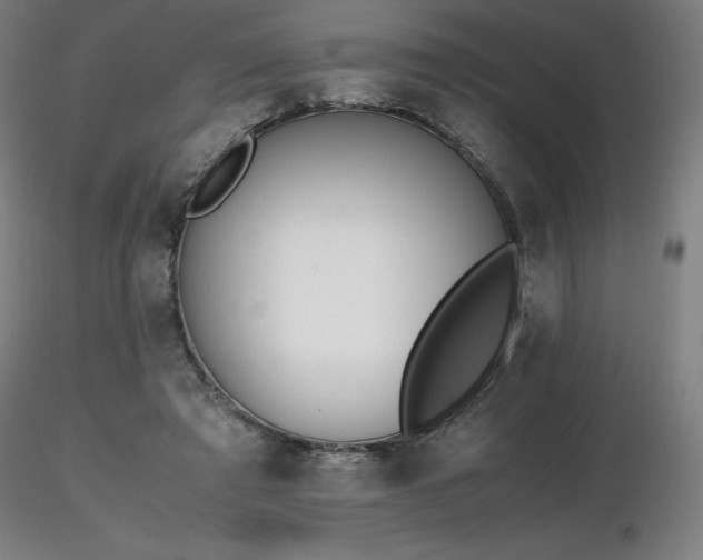 X0000116820401200912181413