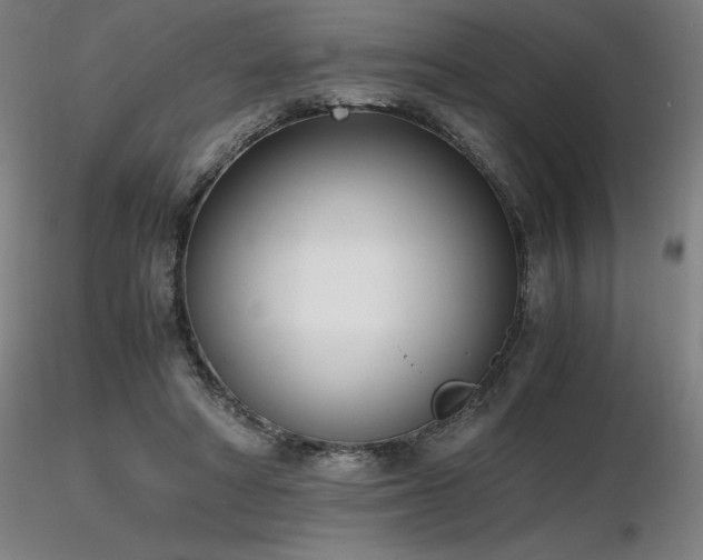 X0000116820402200912181413