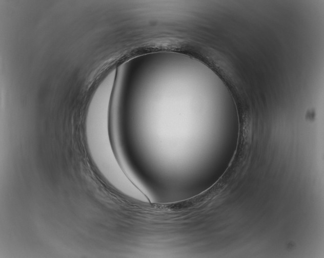 X0000116820403200912181413