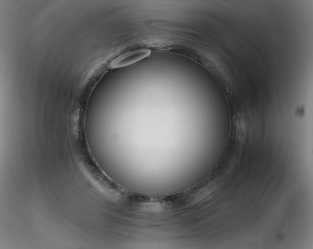 X0000116820404200912181413