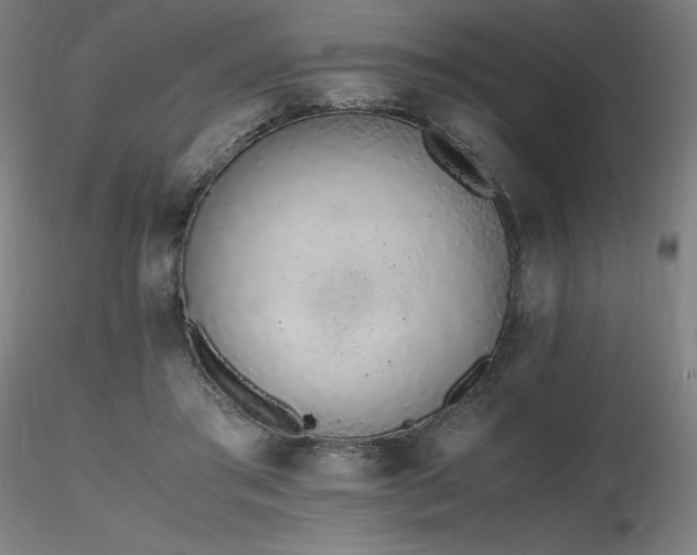 X0000116820405200912181413