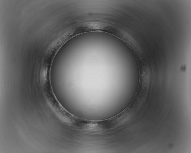X0000116820406200912181413