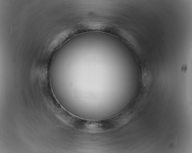 X0000116820407200912181413