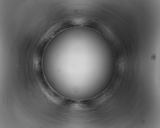 X0000116820408200912181413