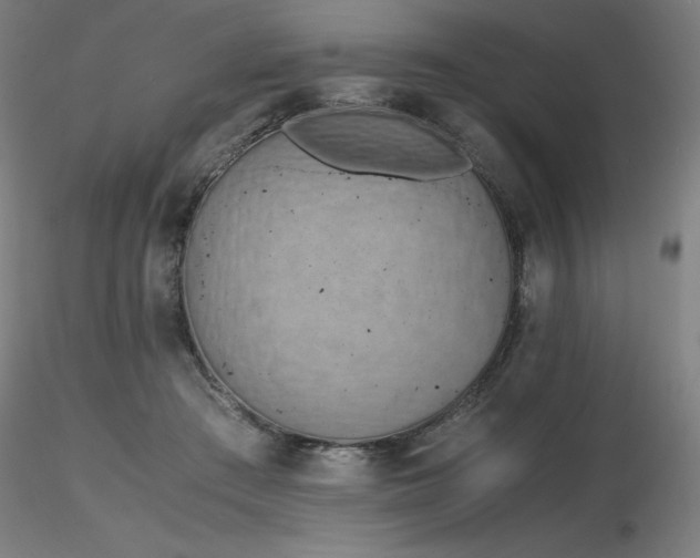 X0000116820409200912181413