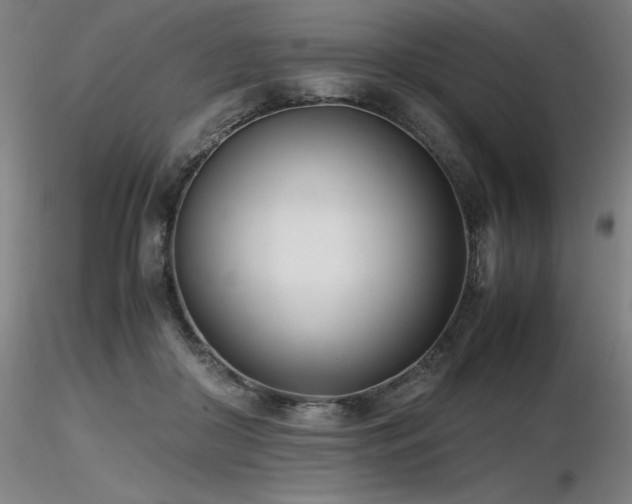 X0000116820410200912181413