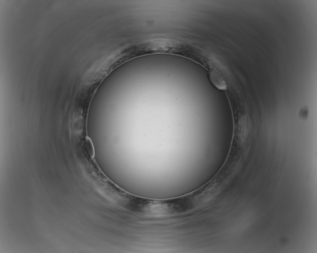 X0000116820413200912181413