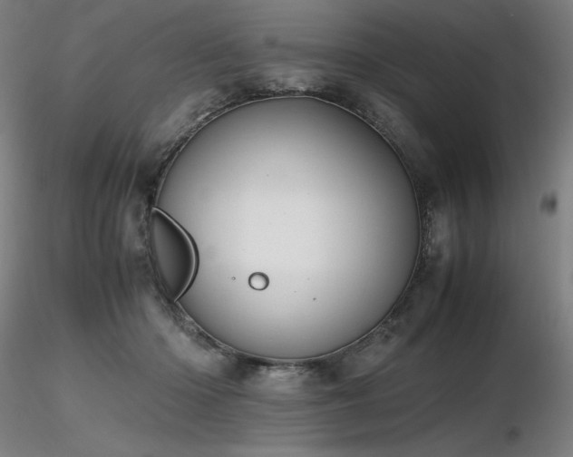 X0000116820414200912181413