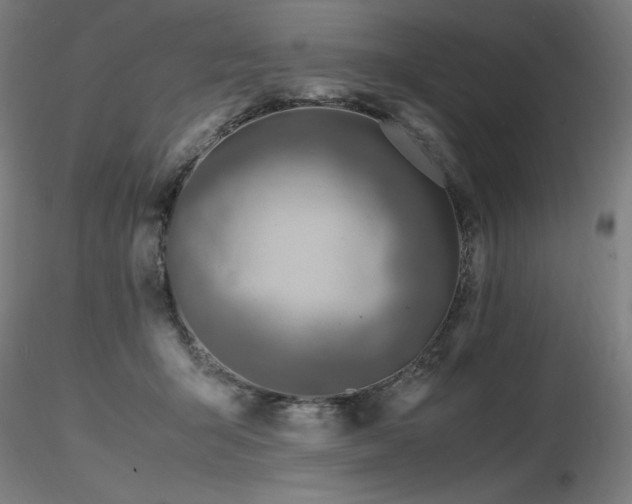 X0000116820415200912181413