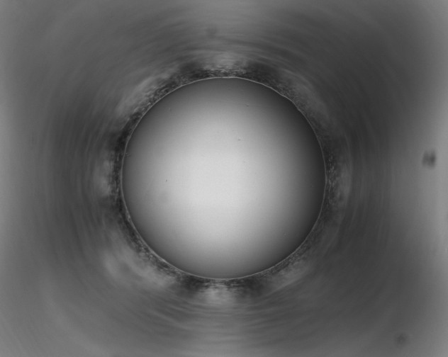 X0000116820416200912181413