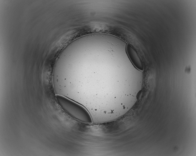 X0000116820417200912181413