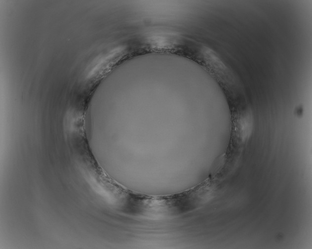 X0000116820419200912181413