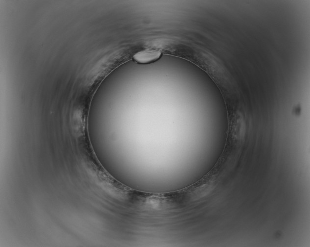 X0000116820420200912181413