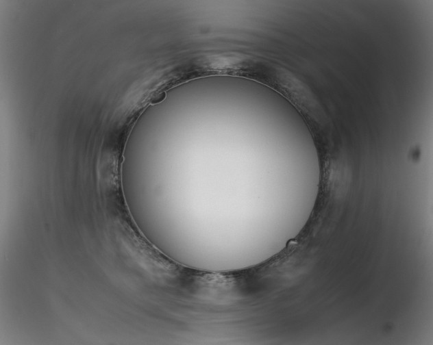 X0000116820421200912181413