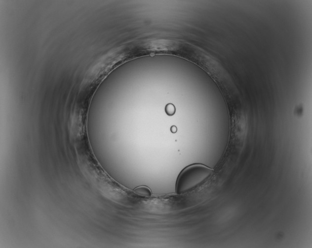 X0000116820422200912181413