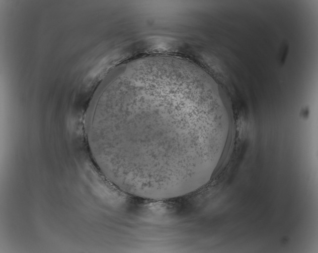 X0000116820423200912181413