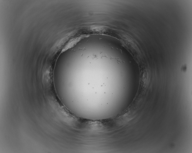X0000116820424200912181413