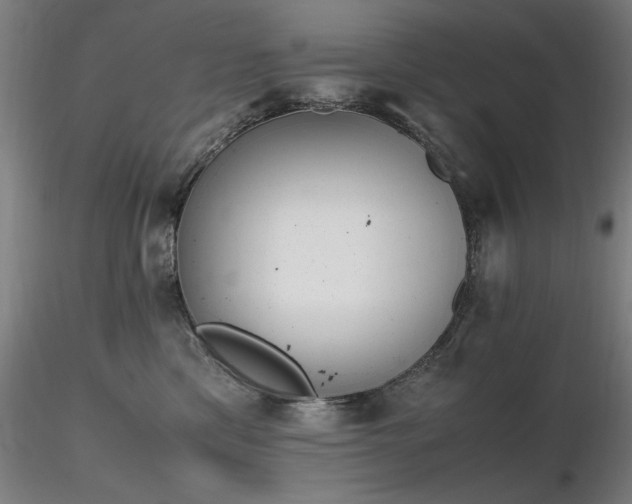 X0000116820425200912181413