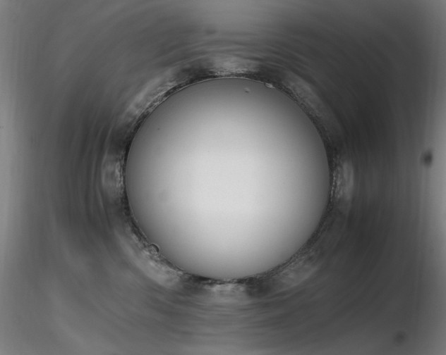 X0000116820426200912181413