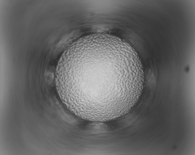 X0000116820427200912181413