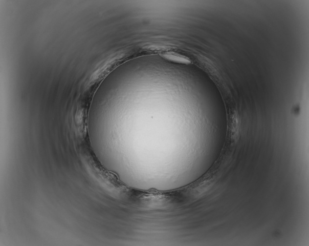 X0000116820428200912181413