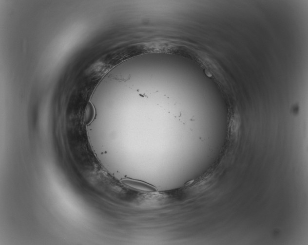 X0000116820429200912181412