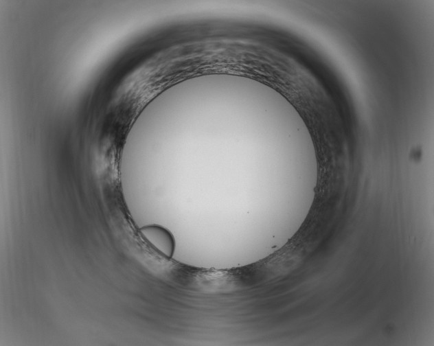 X0000116820431200912181412