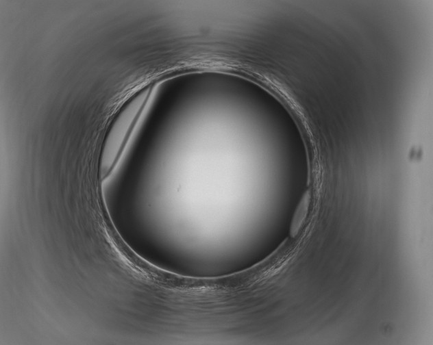 X0000116820433200912181412