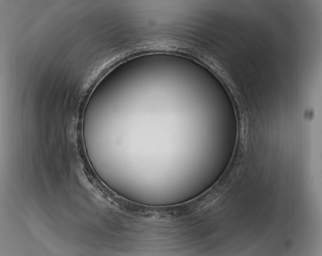 X0000116820434200912181412