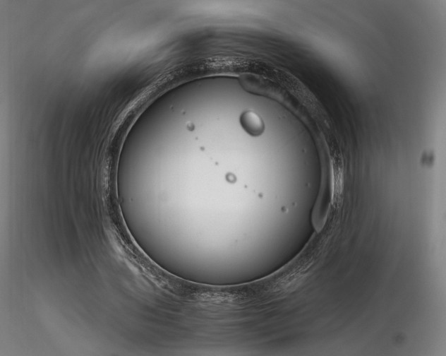 X0000116820435200912181412