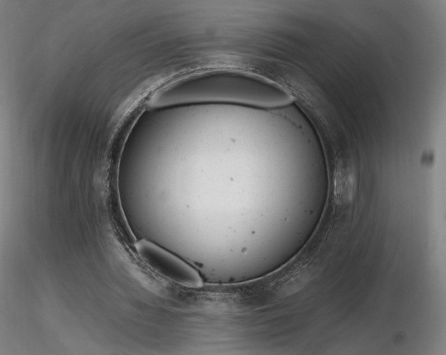 X0000116820436200912181412