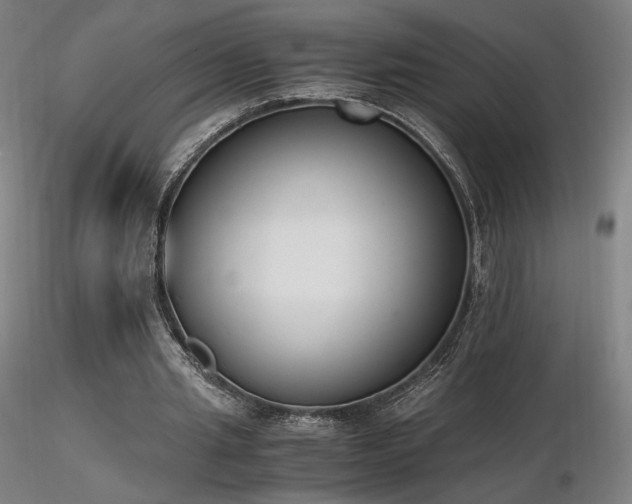 X0000116820437200912181412