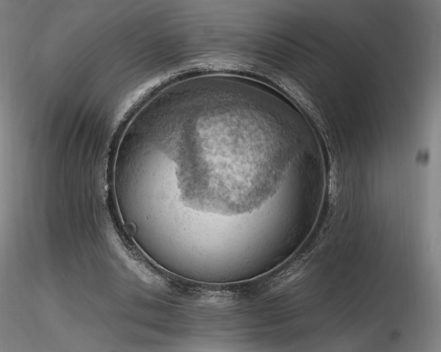 X0000116820438200912181412
