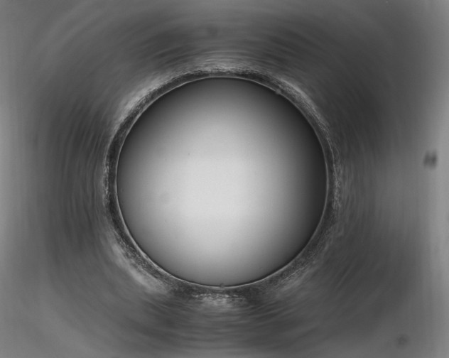 X0000116820439200912181412