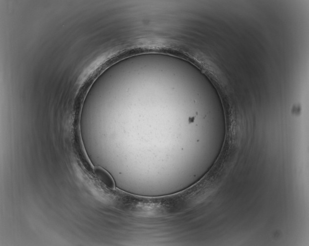 X0000116820440200912181412