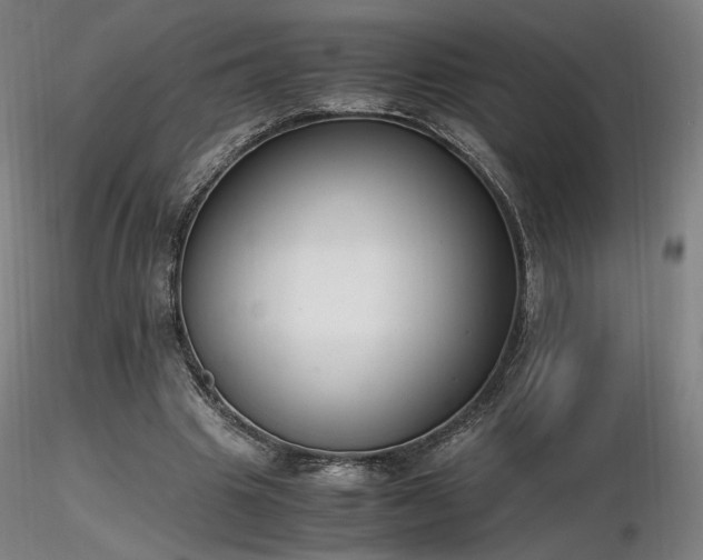 X0000116820441200912181412