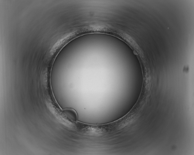 X0000116820442200912181412