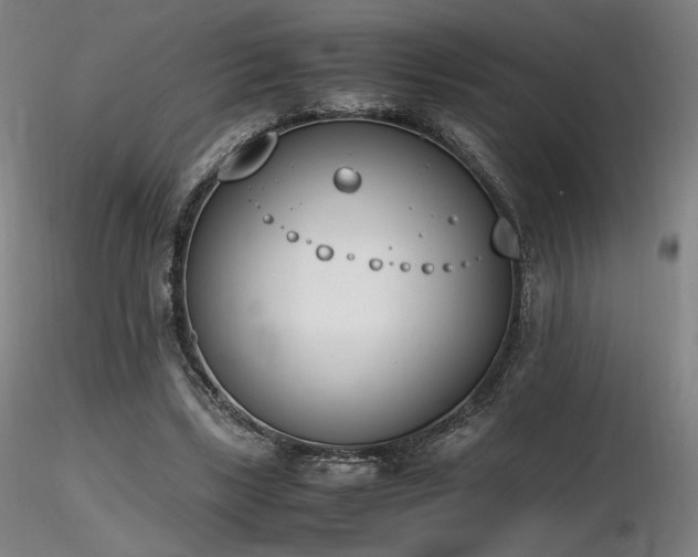 X0000116820443200912181412
