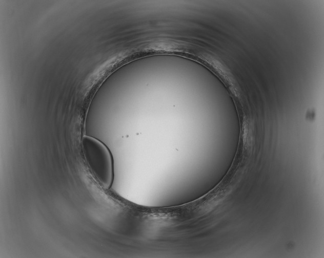 X0000116820445200912181412