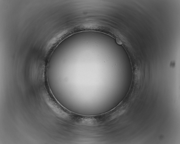 X0000116820446200912181412