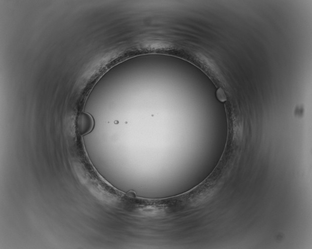 X0000116820447200912181412