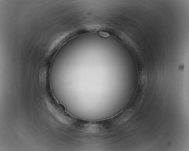 X0000116820448200912181412